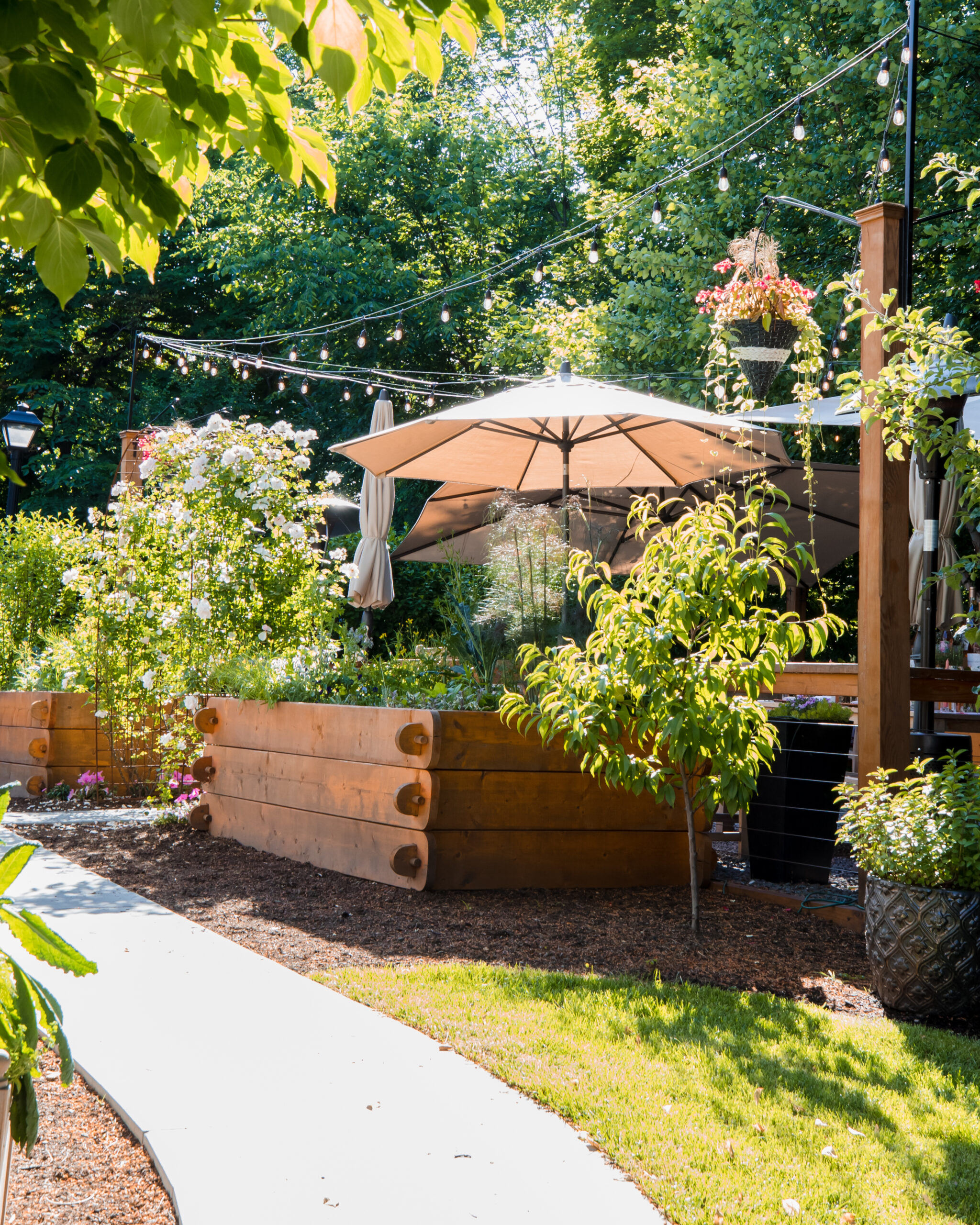 Culinary Garden