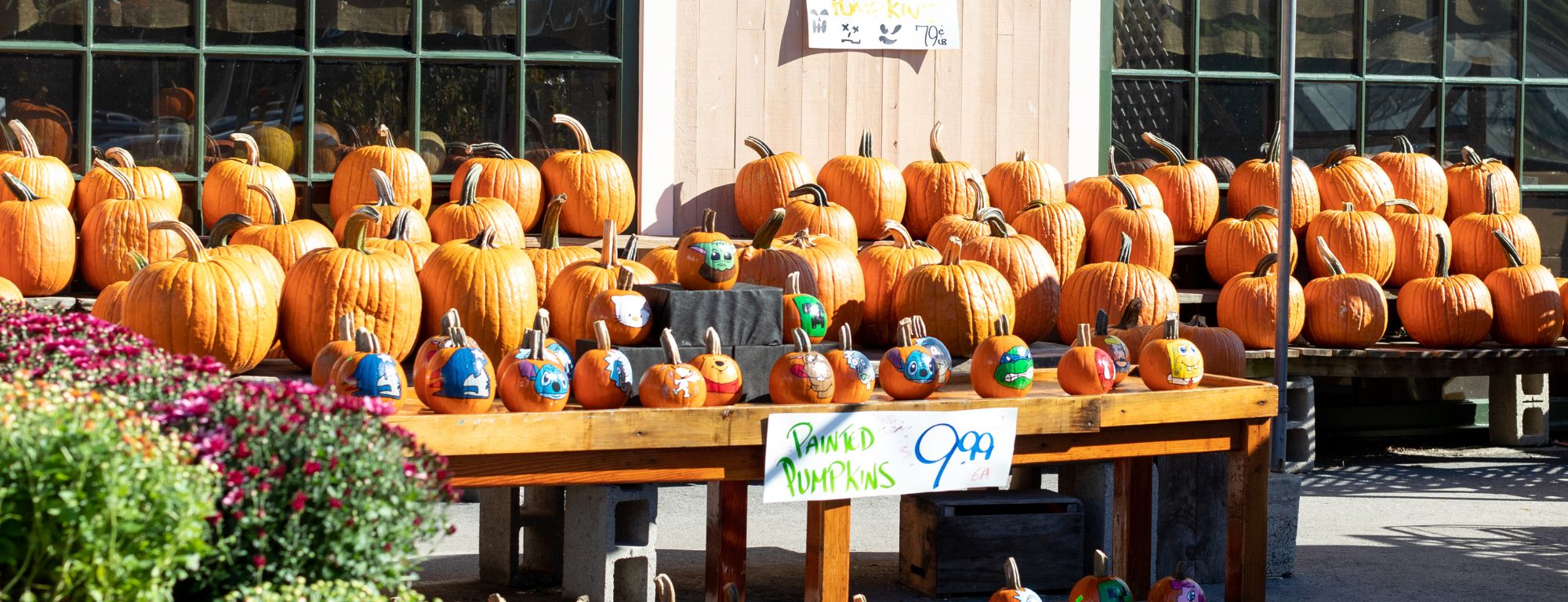 Where To Go Pumpkin Picking Near Boston, MA