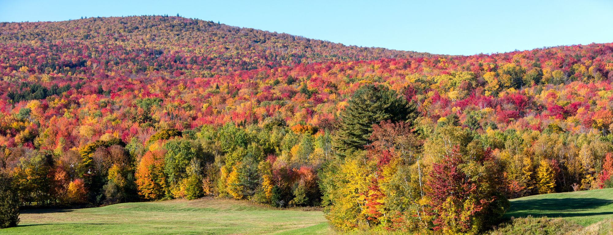 Best Scenic Drives To See Fall Foliage in Massachusetts